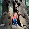abbey.troxel36 - @abbey.troxel36 - TikTok