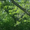 Abby_Veith - @abby_veith - TikTok