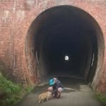 Abbey Walters - @abbeywalters65 - Instagram