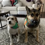 Abbey Wangler - @abbeywangler - Instagram