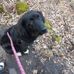 Abby Werner - Facebook