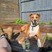 Abbey Lee Whelan - Facebook
