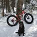 Abby Whelan - Facebook
