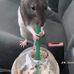 Abby Whitehead - Facebook