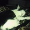 abbeywilcox963 - @abbeywilcox963 - TikTok