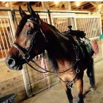Abbey Willard - @abbey200024 - Instagram