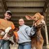 Abbey Wolfe - @stockshowmaster - TikTok