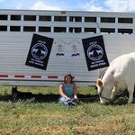 Abbey Wolfe - @stockshowmaster14 - Instagram