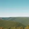 abbeywolfe45 - @abbeywolfe45 - TikTok