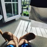 abbey.yang - @abbey0812 - Instagram