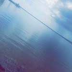 @abbie.allisonphotography - Instagram