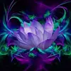 Abbie Allison993 - @abbieallison55 - TikTok