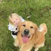 Abbie Allison - @abbieallison73 - TikTok