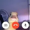 Abbie ALLISON - @abbieallison56 - TikTok