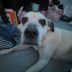 Abby Emond - Facebook