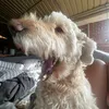 Abbie.Archibald - @abbie.archibald - TikTok