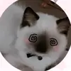 Abby Arnold - @abby.arnold77 - TikTok