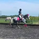 Abbie-lou Bailey - @abbiebaileyequestrian - Instagram