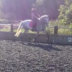 Abbie-lou Bailey - @abbie.bailey.equestrian - Instagram