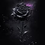 Abbie Baker - Facebook