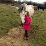 Abbie Baker - @horse_loverxx_name_abbie - Instagram