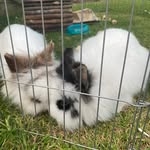Abbie Ball - @abbieball834 - Instagram