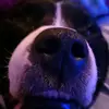 abbiebarr - @abbiebarr - TikTok