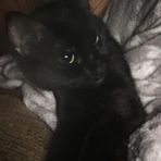 Abbie Berry - Facebook
