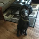 Abbie Boudreau - @25abboud - Instagram