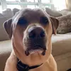 Abbie Gray - @abbiebright - TikTok