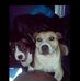 Abbie Burton - Facebook