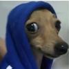 Abbie - @abbie.call..12 - TikTok