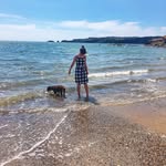 Abbie Cameron - @abbieillustrate - Instagram