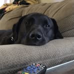 Abbie Camp - Facebook