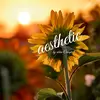 x.Aesthetic.x - @abbiecampbell12 - TikTok