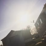abbie lynn Carson - @abbiecarson05 - Instagram