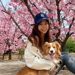 Abbie Chang - @bibimi02 - Instagram