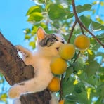Abi Chavez - Facebook
