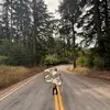 Abbie Clark - @a.wallace3 - TikTok