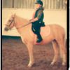 Abbie clements - @horse_me10 - TikTok
