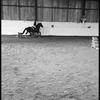 Abbie clements - @awuestrian_girl10x - TikTok