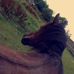 Abbie Collier - @abbie_.tilly - Instagram