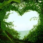 Abbie Collier - @nature_photos_abbie_collier - Instagram