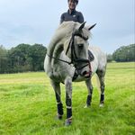 Abbie Cornwall Dressage - @abbiecornwalldressage - Instagram