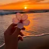 abbiecornish - @abbiecornish76 - TikTok