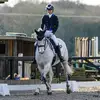 Abbiecornwalldressage - @abbiecornwalldres - TikTok