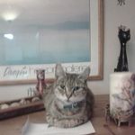Abbie Cross - @abbiecross9987 - Instagram