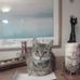 Abbie Cross - Facebook
