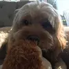 abbiedaly81 - @abbiedaly81 - TikTok