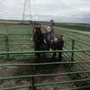abbie.daniel - @abbiedaniel92 - TikTok